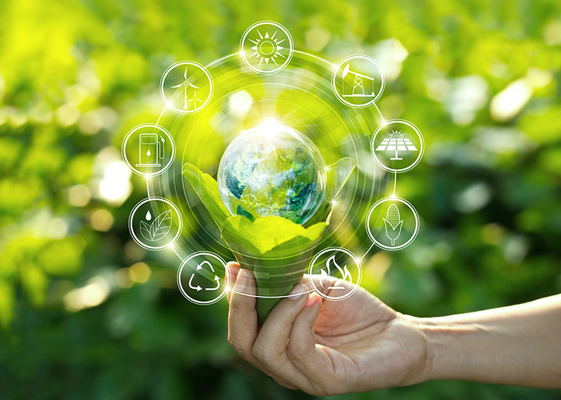 Environmental Consulting: How Companies Become More Sustainable and Environmentally Friendly